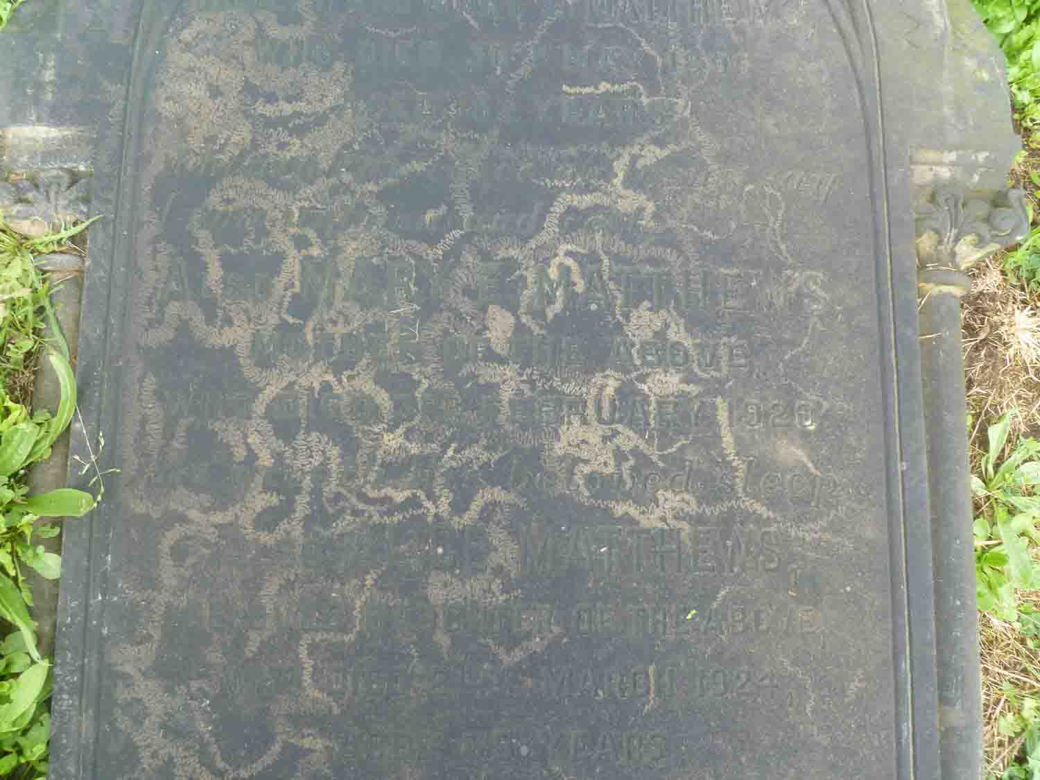 Matthews (1 256)